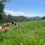 Obstgartl - Muehlviertler Huegelland * Pregarten