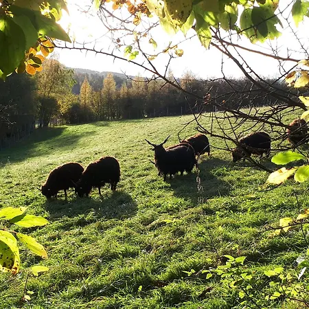 Nyaraló Obstgartl - Muehlviertler Huegelland *