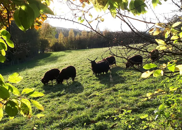 Ferienhaus Obstgartl - Mühlviertler Hügelland *