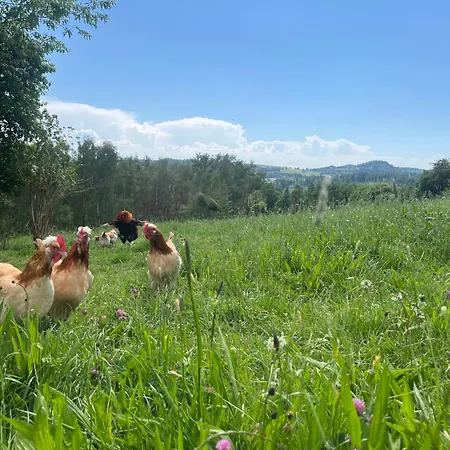 Obstgartl - Muehlviertler Huegelland * Pregarten