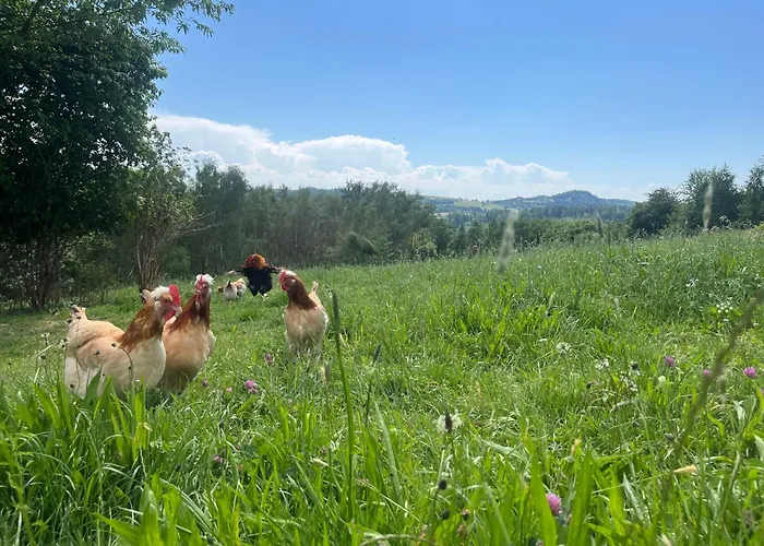 Obstgartl - Muehlviertler Huegelland * Pregarten