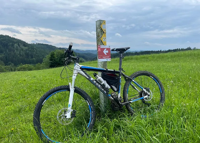 Prázdninový dům Obstgartl - Muehlviertler Huegelland Pregarten